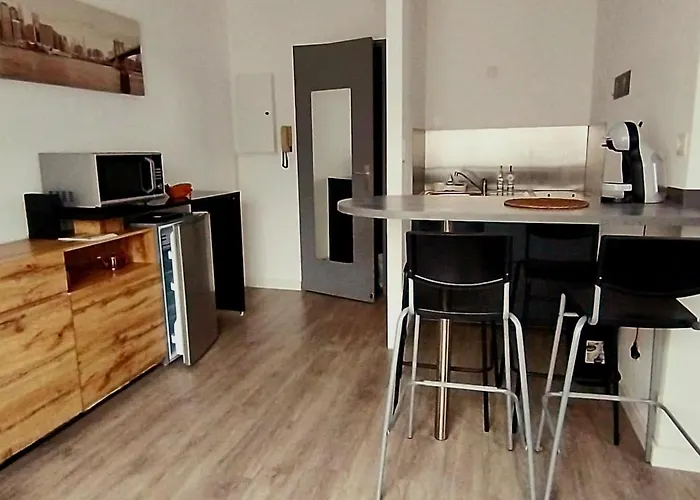 公寓 Chazy Pres De La Cite De L'espace *