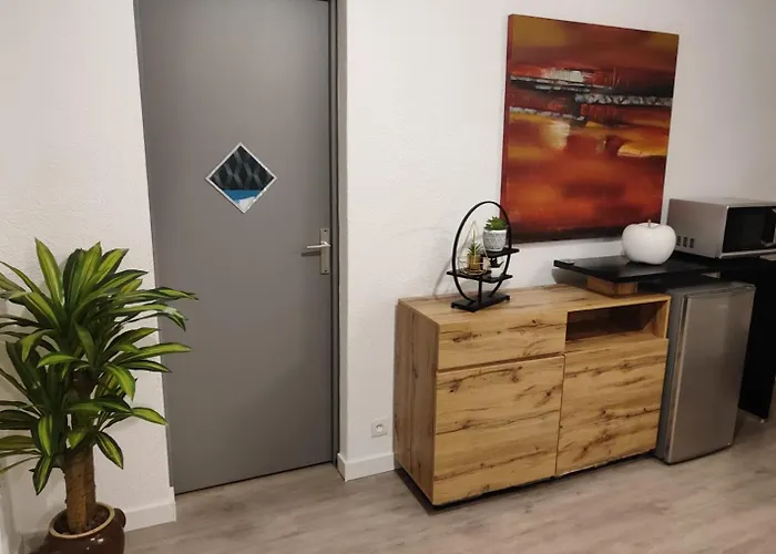 Chazy Pres De La Cite De L'espace アパート トゥールーズ